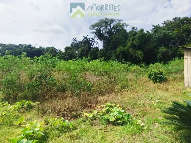 Imagem 7: Área à venda no bairro América de baixo - Morretes/PR, Rural