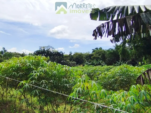 Imagem 11: Área à venda no bairro América de baixo - Morretes/PR, Rural