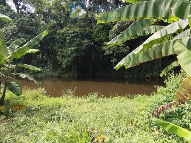 Imagem 2: Área à venda no bairro América de baixo - Morretes/PR, Rural