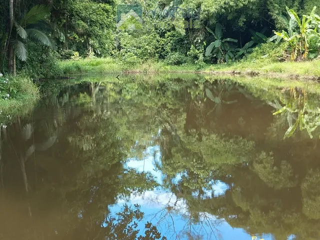 Imagem 8: Área à venda no bairro América de baixo - Morretes/PR, Rural