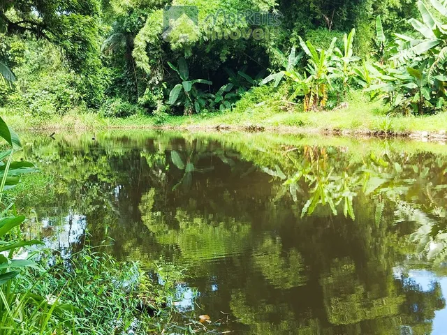 Imagem 5: Área à venda no bairro América de baixo - Morretes/PR, Rural