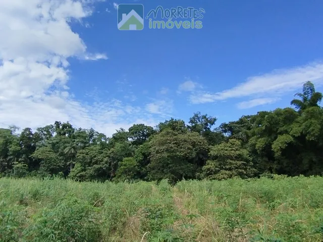 Imagem 16: Área à venda no bairro América de baixo - Morretes/PR, Rural