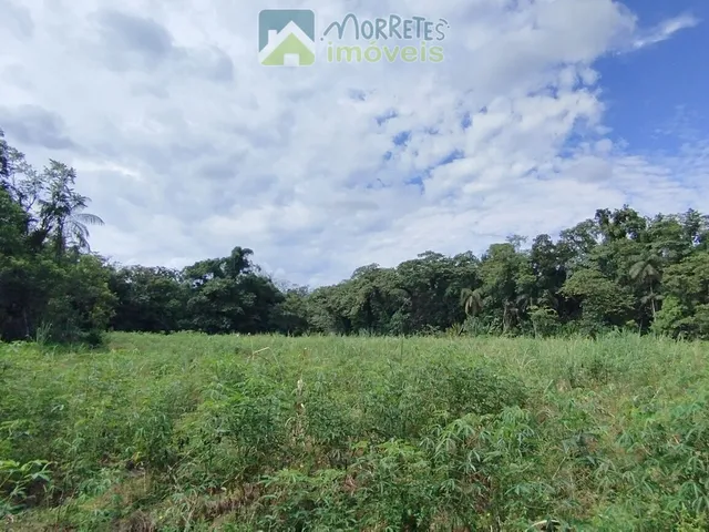 Imagem 12: Área à venda no bairro América de baixo - Morretes/PR, Rural
