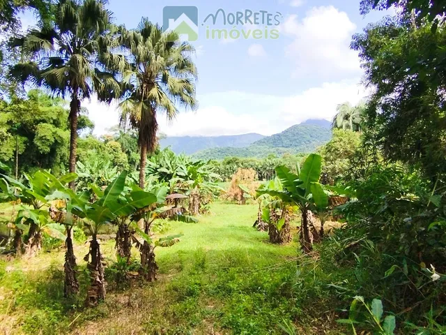 Imagem 13: Área à venda no bairro América de baixo - Morretes/PR, Rural