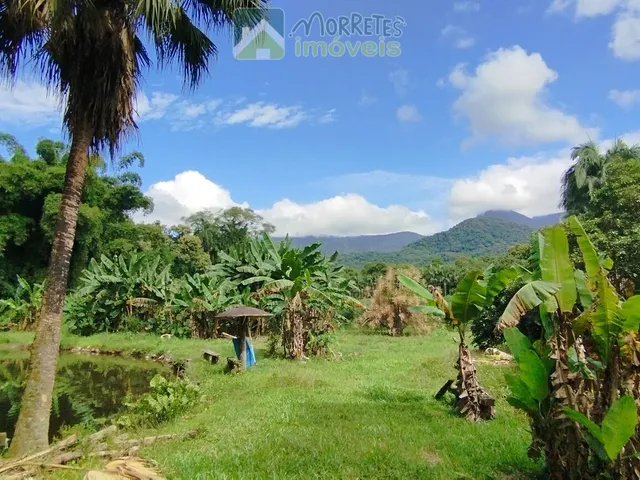 Imagem 15: Área à venda no bairro América de baixo - Morretes/PR, Rural