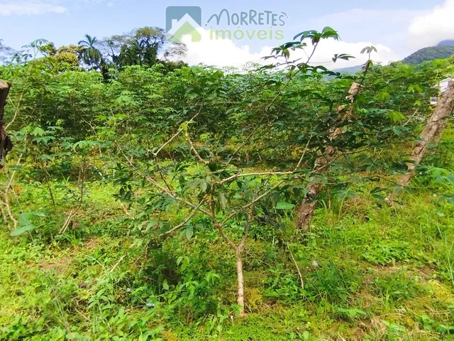 Imagem 10: Área à venda no bairro América de baixo - Morretes/PR, Rural