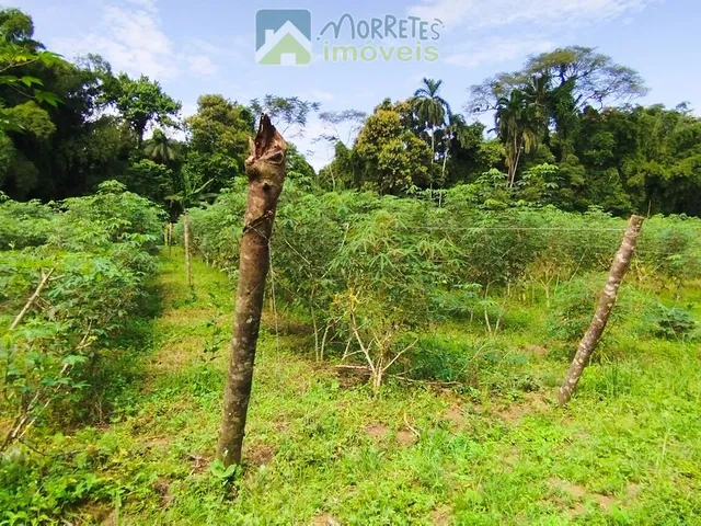 Imagem 6: Área à venda no bairro América de baixo - Morretes/PR, Rural