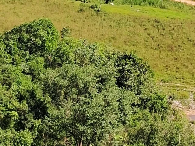 Imagem 5: Vendo Sítio em Caeté - MG