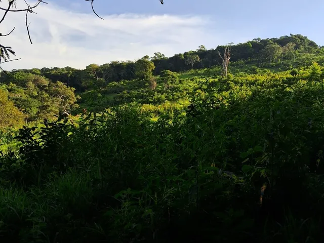 Imagem 11: Vendo Sítio em Caeté - MG