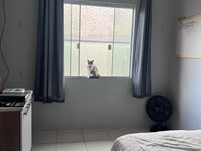 Imagem 8: Casa em Condomínio em Passauna, Araucária/Pr
