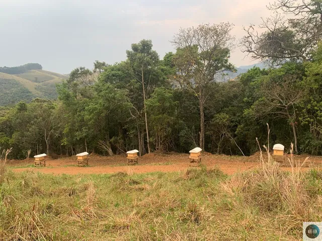 Imagem: Fazenda em Silveiras