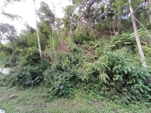 Imagem: Terrenos em Teresópolis