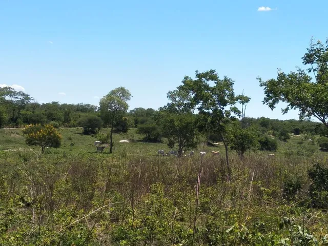Imagem: Fazenda Dupla Aptidão para Venda em santa