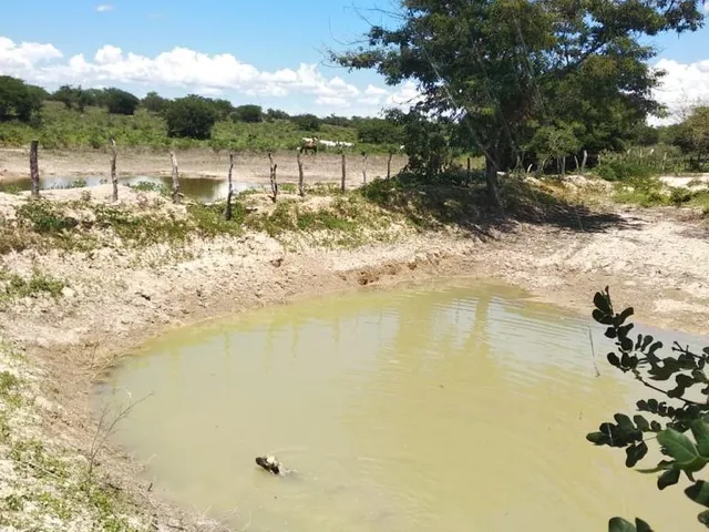 Imagem 11: Fazenda Dupla Aptidão para Venda em santa Rita de Cassia-Ba com 520 Hectares Sendo 400