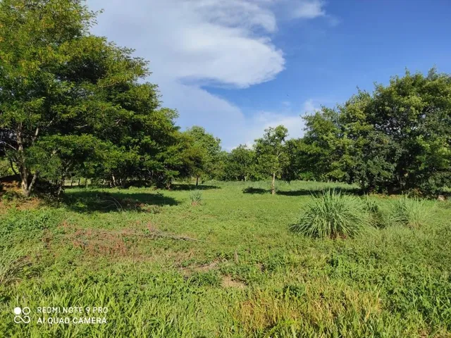 Imagem 10: Fazenda Dupla Aptidão para Venda em santa Rita de Cassia-Ba com 520 Hectares Sendo 400