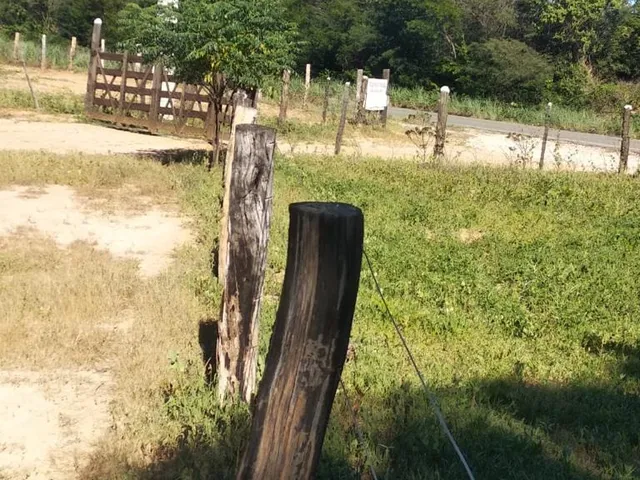 Imagem 4: Fazenda Dupla Aptidão para Venda em santa Rita de Cassia-Ba com 520 Hectares Sendo 400