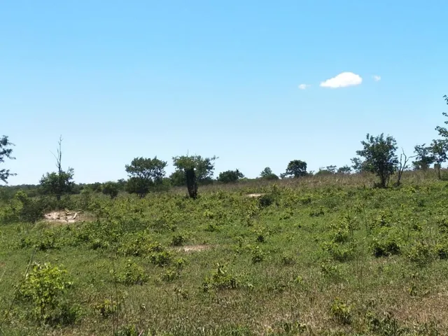Imagem 7: Fazenda Dupla Aptidão para Venda em santa Rita de Cassia-Ba com 520 Hectares Sendo 400