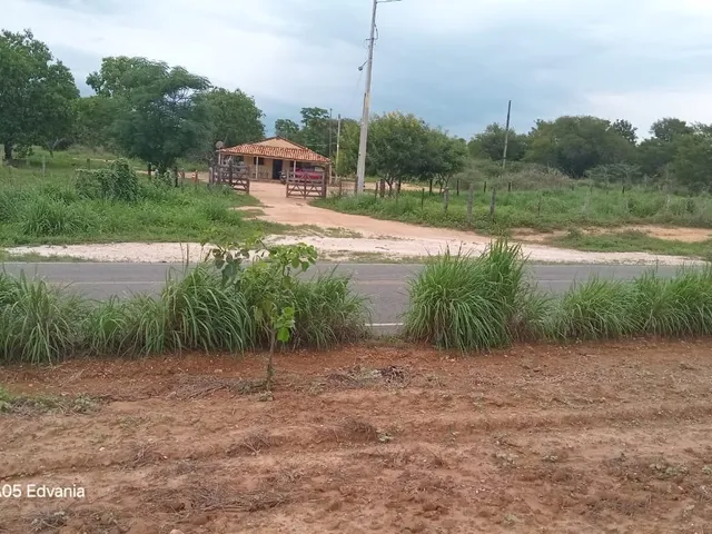 Imagem 14: Fazenda Dupla Aptidão para Venda em santa Rita de Cassia-Ba com 520 Hectares Sendo 400