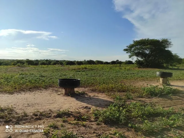 Imagem 15: Fazenda Dupla Aptidão para Venda em santa Rita de Cassia-Ba com 520 Hectares Sendo 400