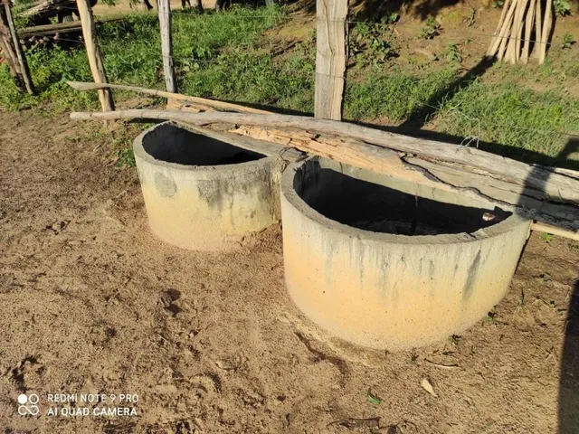 Imagem 9: Fazenda Dupla Aptidão para Venda em santa Rita de Cassia-Ba com 520 Hectares Sendo 400