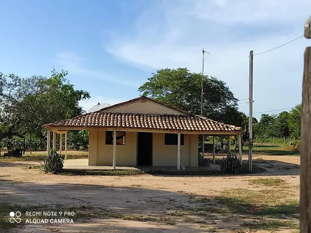 Imagem 6: Fazenda Dupla Aptidão para Venda em santa Rita de Cassia-Ba com 520 Hectares Sendo 400