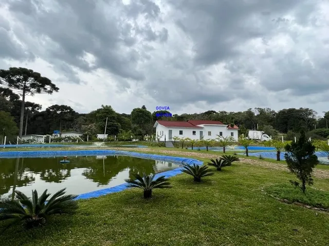 Imagem: CHÁCARA 3/7 ALQUEIRES, ALTO PRODUTIVA