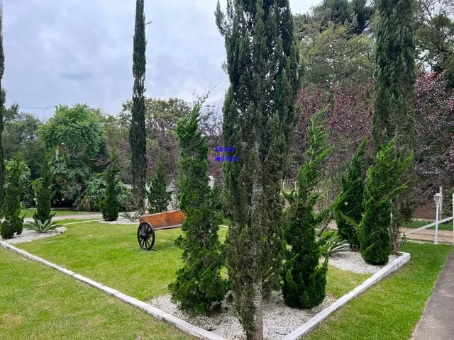 Imagem 14: CHÁCARA 3/7 ALQUEIRES, ALTO PRODUTIVA, LAZER, CONFORTO E TRANQUILIDADE COM ESTUFA