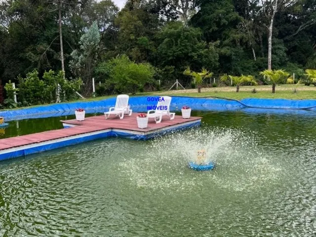 Imagem 6: CHÁCARA 3/7 ALQUEIRES, ALTO PRODUTIVA, LAZER, CONFORTO E TRANQUILIDADE COM ESTUFA