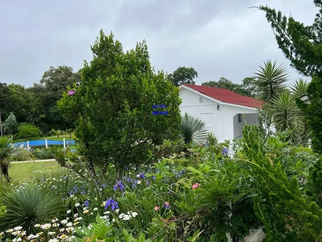 Imagem 2: CHÁCARA 3/7 ALQUEIRES, ALTO PRODUTIVA, LAZER, CONFORTO E TRANQUILIDADE COM ESTUFA
