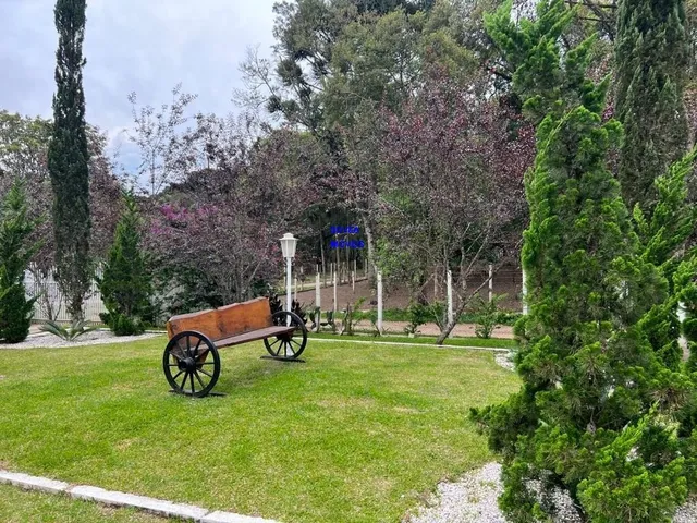 Imagem 3: CHÁCARA 3/7 ALQUEIRES, ALTO PRODUTIVA, LAZER, CONFORTO E TRANQUILIDADE COM ESTUFA