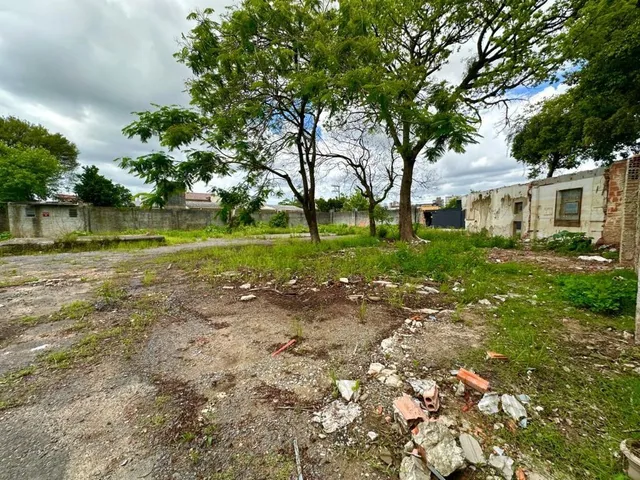 Imagem 11: HSDG 475 Terreno TE1813