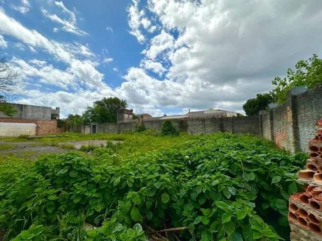 Imagem 12: HSDG 475 Terreno TE1813
