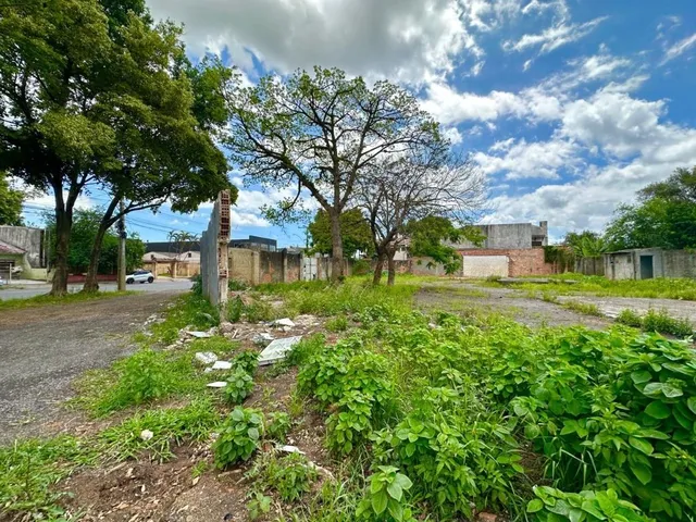 Imagem 10: HSDG 475 Terreno TE1813