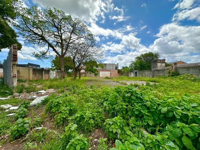 Imagem 9: HSDG 475 Terreno TE1813
