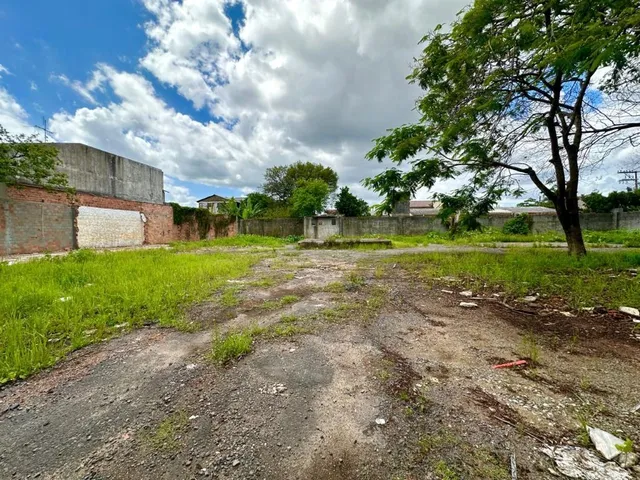 Imagem 7: HSDG 475 Terreno TE1813