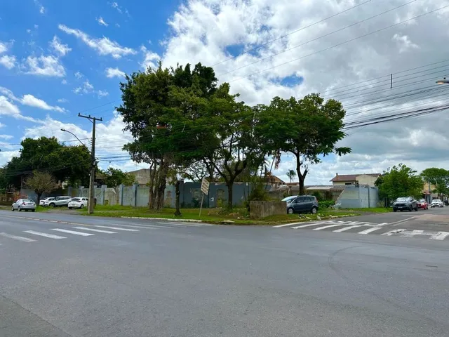 Imagem: HSDG 479 Lote TE1812 - HSDG 479 Lote TE1812