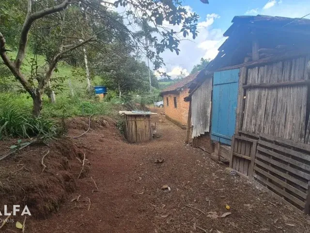 Imagem 12: Sítio Encantador com Pomar, Solo Fértil e Construção Rústica em Antônio Carlo