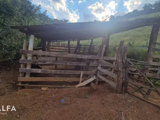 Imagem 11: Sítio Encantador com Pomar, Solo Fértil e Construção Rústica em Antônio Carlo