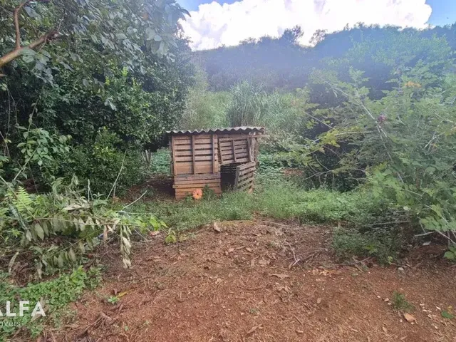 Imagem 8: Sítio Encantador com Pomar, Solo Fértil e Construção Rústica em Antônio Carlo