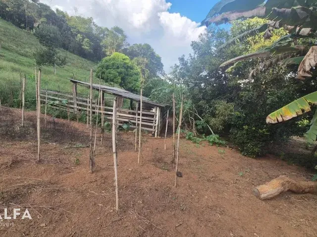Imagem 4: Sítio Encantador com Pomar, Solo Fértil e Construção Rústica em Antônio Carlo