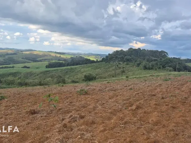 Imagem 2: Sítio Encantador com Pomar, Solo Fértil e Construção Rústica em Antônio Carlo
