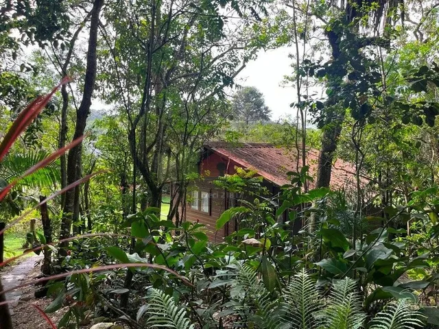 Imagem 2: REF. 389 - Sítio/Fazenda para venda no bairro Ratones, Florianópolis- SC