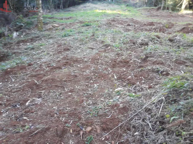 Imagem: Vende Chácara Comunidade Passo da Ilha