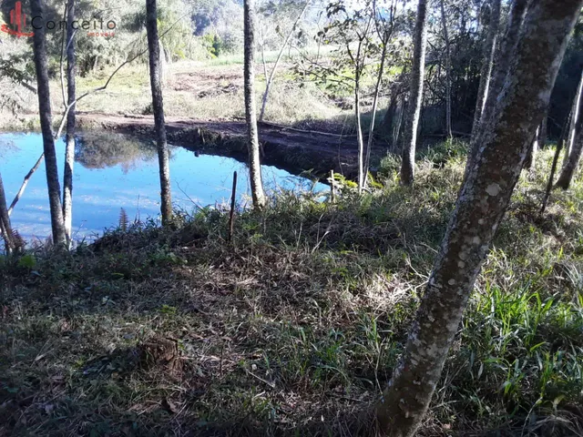 Imagem 7: Vende Chácara Comunidade Passo da Ilha