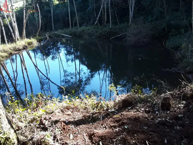 Imagem 4: Vende Chácara Comunidade Passo da Ilha