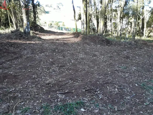 Imagem 3: Vende Chácara Comunidade Passo da Ilha
