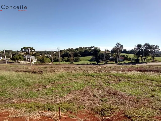 Imagem: Terreno Loteamento Tumeleiro - Bairro Parzianello