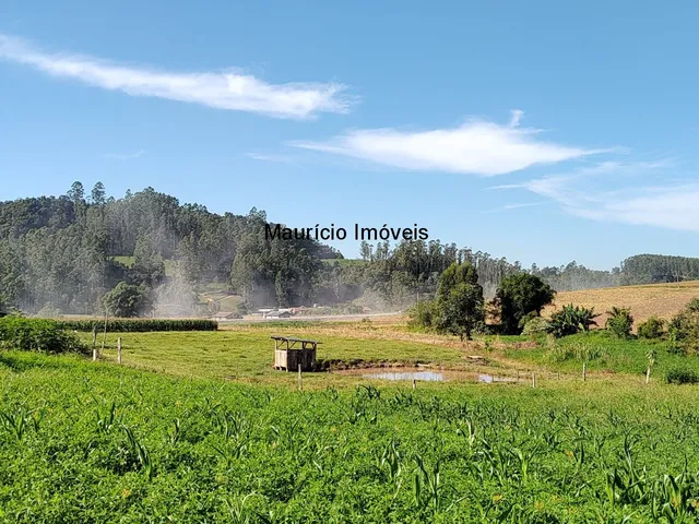 Imagem: Terreno rural com 5.000,00 m², Lageado