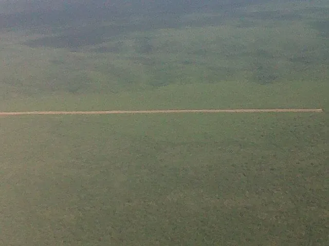 Imagem: Fazenda para Venda na Região de Monte Alegre