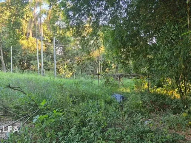 Imagem 12: Sítio à venda em Barbacena, Monte Mário, com 4 quartos, 4.8ha